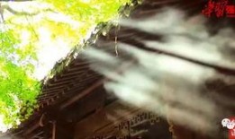 超蓬在线观看视频,揭秘科技前沿，畅享视觉盛宴