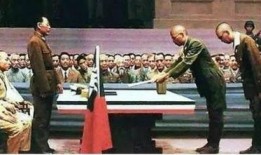 外国爆料日本罪行视频